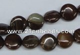 CZJ151 15.5 inches 10mm flat round iron zebra jasper beads wholesale