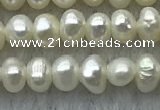 FWP09 14.5 inches 2.5mm - 3mm potato white freshwater pearl strands