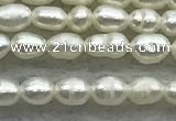FWP154 14.5 inches 2mm - 3mm rice white freshwater pearl strands