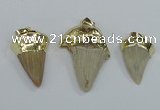 NGP1677 18*25mm - 22*30mm shark teeth pendants wholesale