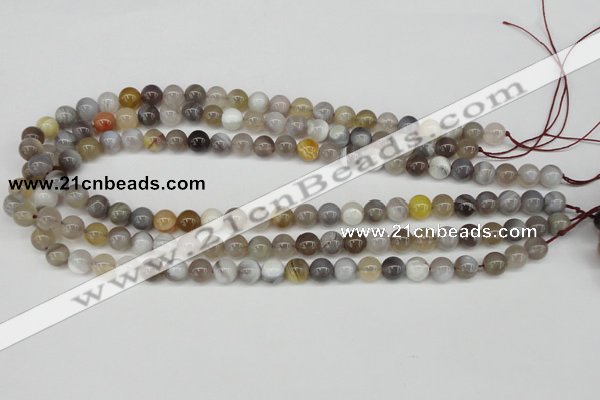 CAA224 15.5 inches 8mm round botswana agate gemstone beads