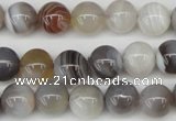 CAA225 15.5 inches 10mm round botswana agate gemstone beads