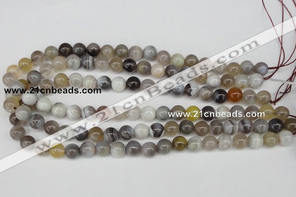 CAA225 15.5 inches 10mm round botswana agate gemstone beads