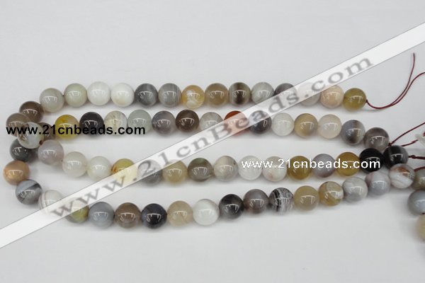 CAA226 15.5 inches 12mm round botswana agate gemstone beads