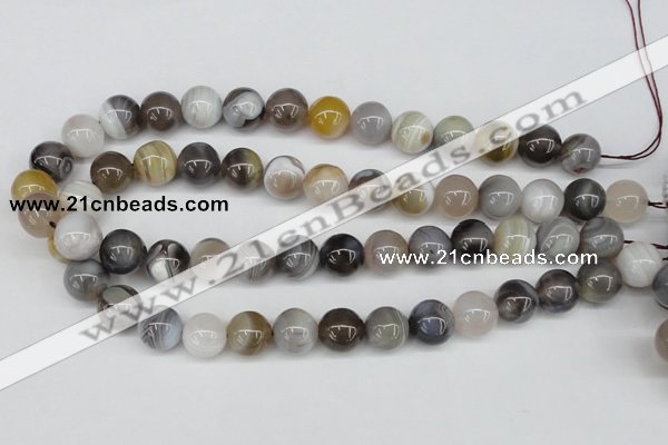 CAA227 15.5 inches 14mm round botswana agate gemstone beads