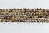 CAA2348 15.5 inches 4mm round crazy lace agate beads wholesale