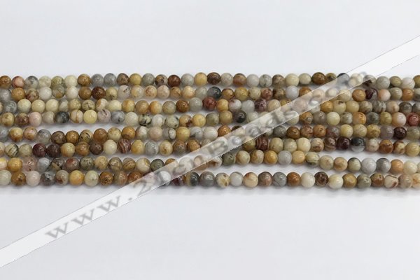 CAA2348 15.5 inches 4mm round crazy lace agate beads wholesale