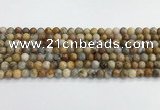 CAA2349 15.5 inches 6mm round crazy lace agate beads wholesale