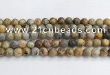 CAA2352 15.5 inches 12mm round crazy lace agate beads wholesale