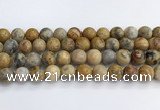 CAA2353 15.5 inches 14mm round crazy lace agate beads wholesale