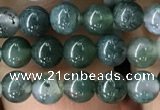 CAA2356 15.5 inches 4mm round moss agate beads wholesale