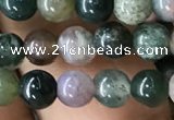 CAA2363 15.5 inches 4mm round Indian agate beads wholesale