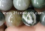 CAA2366 15.5 inches 10mm round Indian agate beads wholesale