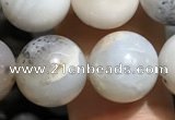 CAA3578 15.5 inches 10mm round parral dendrite agate beads