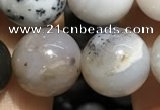 CAA3579 15.5 inches 12mm round parral dendrite agate beads