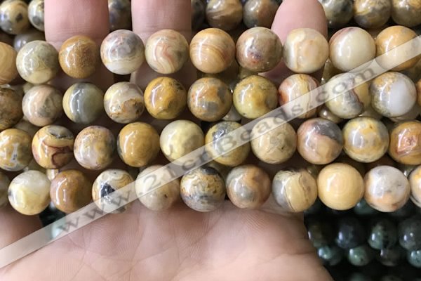 CAA3605 15.5 inches 12mm round yellow crazy lace agate beads