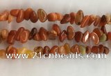 CAA3807 15.5 inches 8*12mm - 10*14mm chips red agate beads wholesale