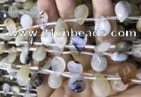 CAA3837 Top drilled 10*14mm faceted briolette montana agate beads