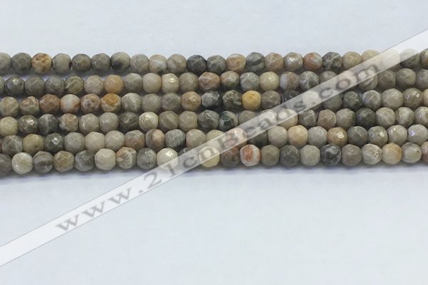 CAA3960 15.5 inches 4mm faceted round chrysanthemum agate beads