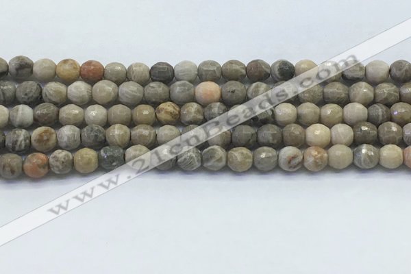 CAA3961 15.5 inches 6mm faceted round chrysanthemum agate beads