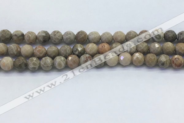 CAA3962 15.5 inches 8mm faceted round chrysanthemum agate beads