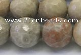 CAA3965 15.5 inches 14mm faceted round chrysanthemum agate beads