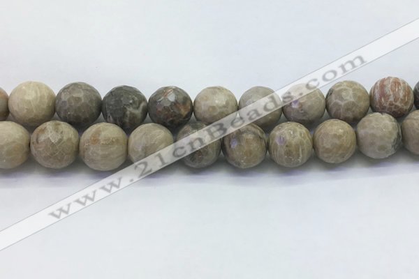CAA3966 15.5 inches 16mm faceted round chrysanthemum agate beads