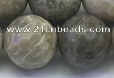 CAA3968 15.5 inches 20mm faceted round chrysanthemum agate beads