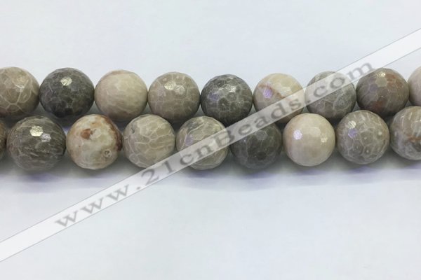 CAA3968 15.5 inches 20mm faceted round chrysanthemum agate beads