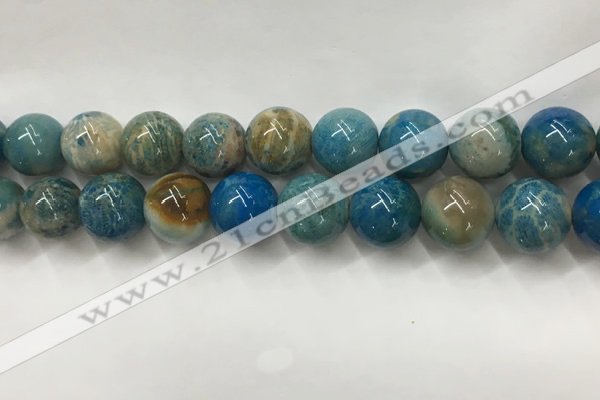 CAA3982 15.5 inches 16mm round chrysanthemum agate beads