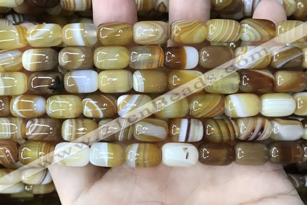 CAA4151 15.5 inches 8*12mm drum line agate beads wholesale