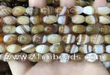 CAA4158 15.5 inches 8*12mm rice line agate beads wholesale