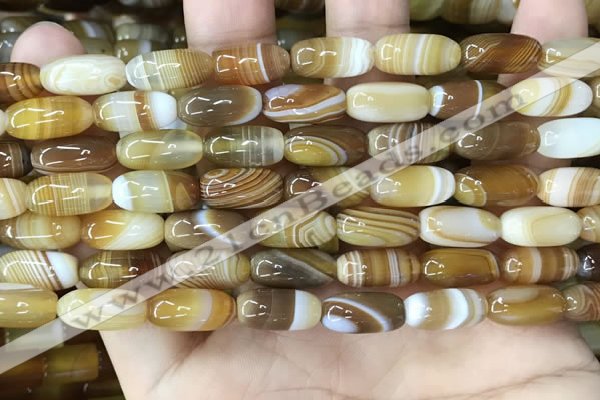 CAA4172 15.5 inches 7*14mm rice line agate beads wholesale