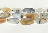 CAA4394 15.5 inches 18*28mm - 30*45mm freeform Montana agate beads