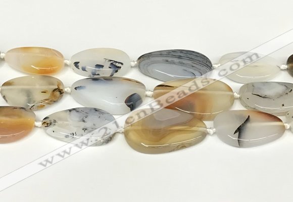 CAA4394 15.5 inches 18*28mm - 30*45mm freeform Montana agate beads