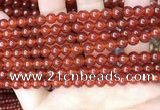 CAA4947 15.5 inches 6mm round red agate beads wholesale