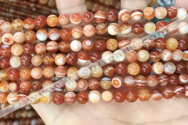 CAA4950 15.5 inches 6mm round Madagascar agate beads wholesale
