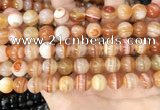 CAA4952 15.5 inches 10mm round Madagascar agate beads wholesale