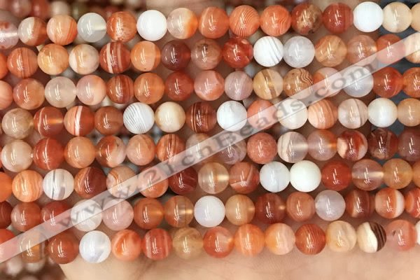 CAA5001 15.5 inches 6mm round red botswana agate beads wholesale