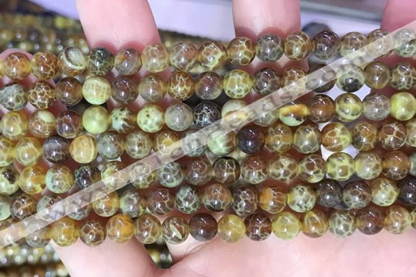 CAA5037 15.5 inches 6mm round yellow dragon veins agate beads