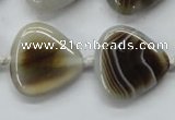 CAA527 15.5 inches 25*25mm triangle madagascar agate beads