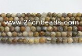 CAA5291 15.5 inches 6mm faceted round crazy lace agate beads wholesale