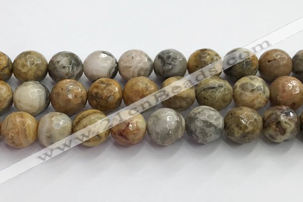 CAA5294 15.5 inches 12mm faceted round crazy lace agate beads wholesale