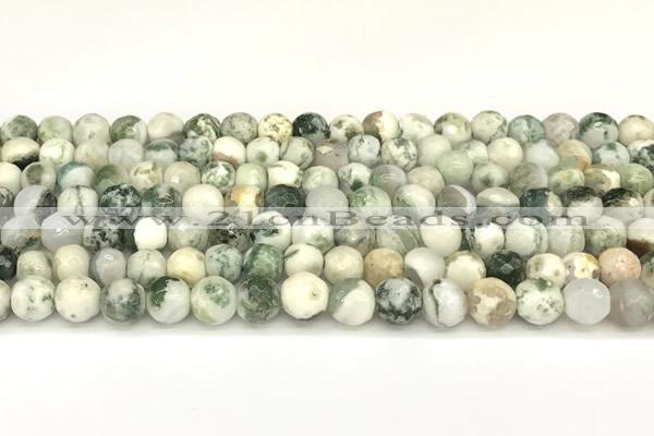 CAA5800 15 inches 6mm faceted round tree agate beads