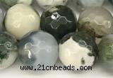 CAA5802 15 inches 10mm faceted round tree agate beads