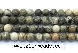 CAA6104 15.5 inches 12mm round chrysanthemum agate gemstone beads