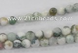 CAA700 15.5 inches 6mm round tree agate gemstone beads wholesale