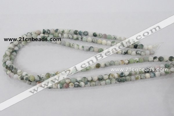 CAA700 15.5 inches 6mm round tree agate gemstone beads wholesale