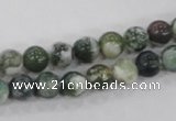 CAA701 15.5 inches 8mm round tree agate gemstone beads wholesale