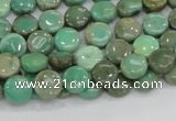 CAB25 15.5 inches 8mm coin green grass agate gemstone beads